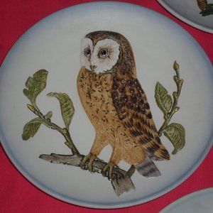 Goebel Wildlife Third Edition Barn Owl